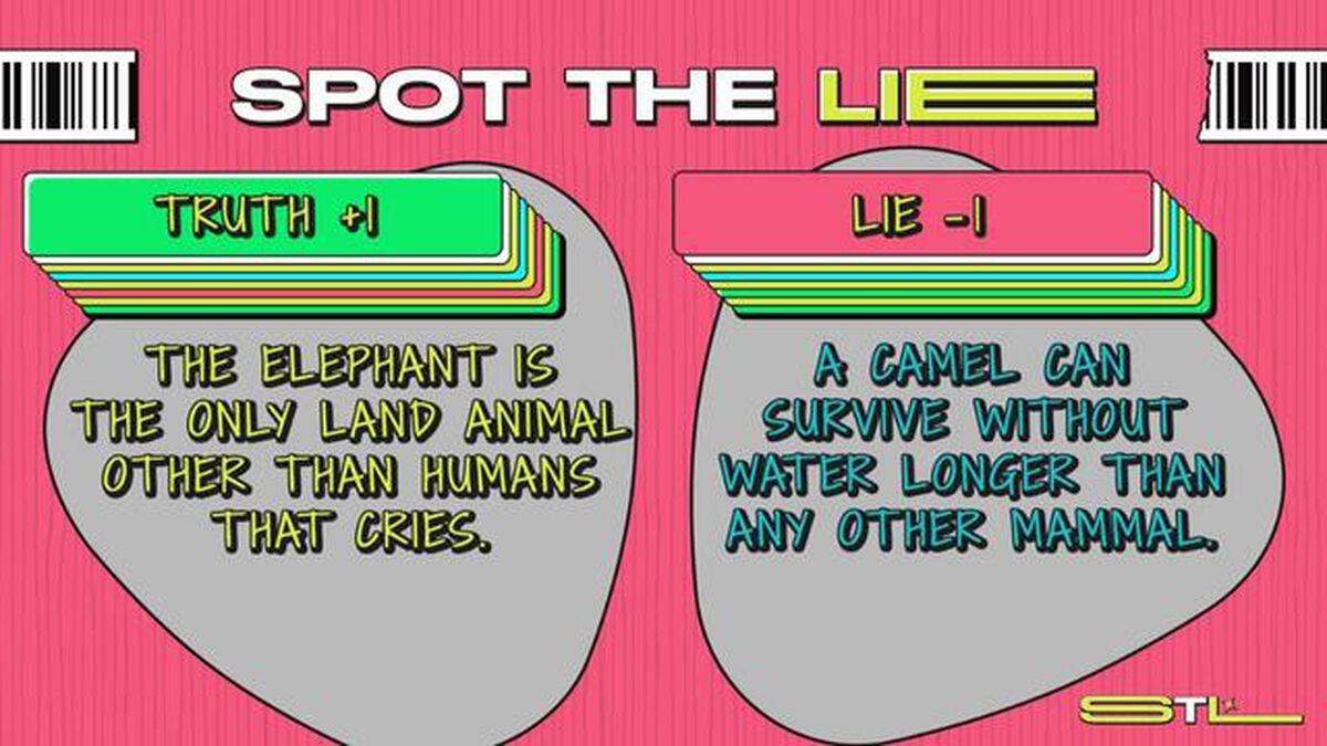 Spot The Lie image number 3